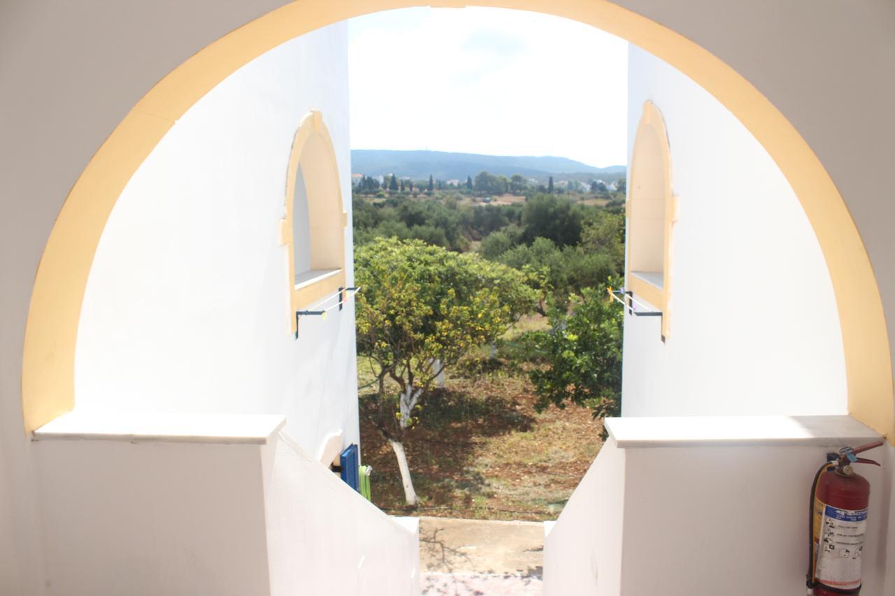 Theofilos Appartements Livádi Kithíron Kültér fotó